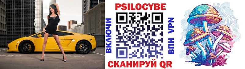 Купить  Вытегра  Псилоцибиновые грибы мухоморы 